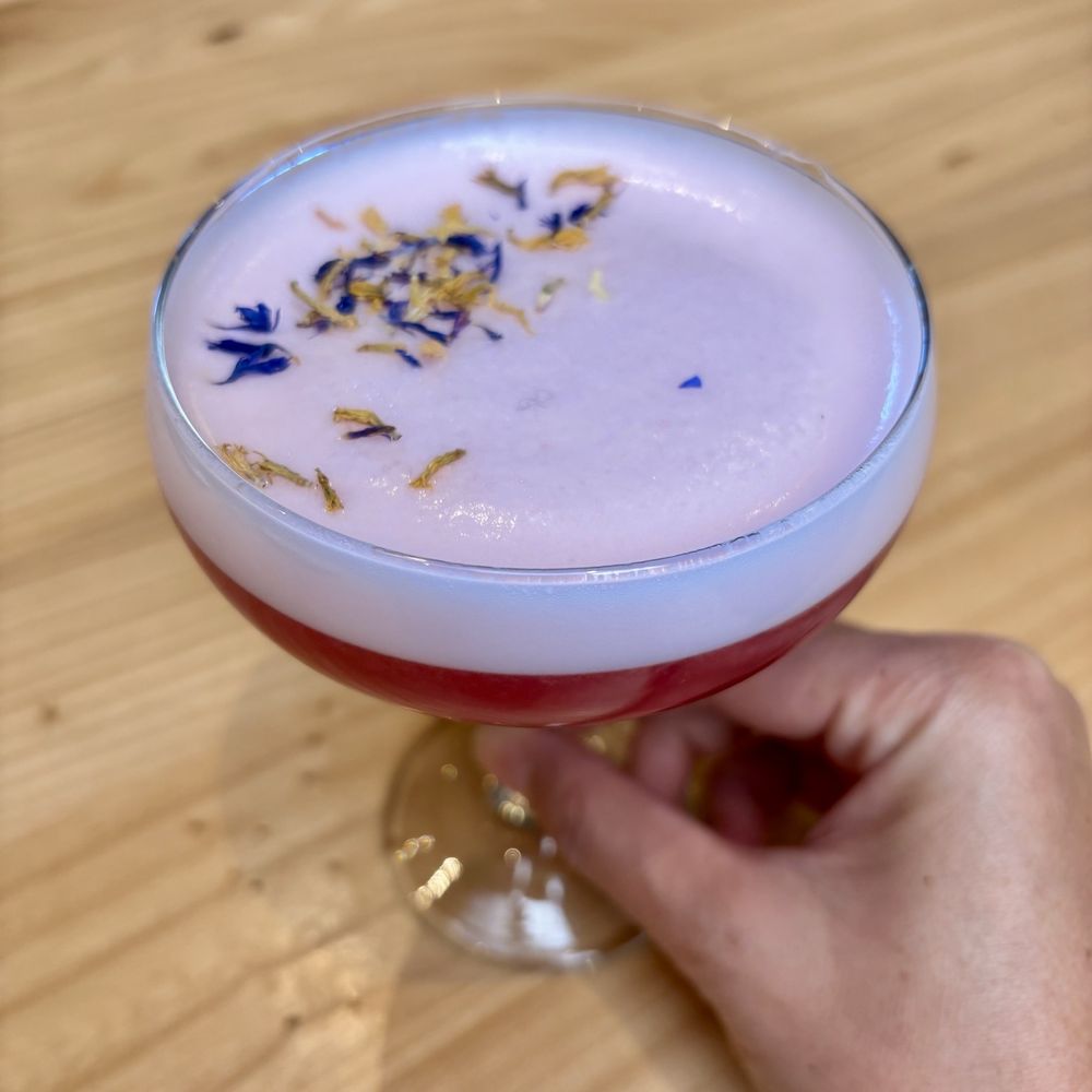 Gioia Cafe & Bar - Italian Near Me - New Haven, Connecticut