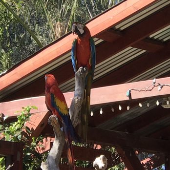 Wildlife Learning Center - Zoos Near Me - Sylmar, California