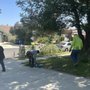 B&M Tree Service