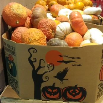 Trader Joe's - Pumpkins outside near the carts - Grocery Near Me - Las Vegas, Nevada