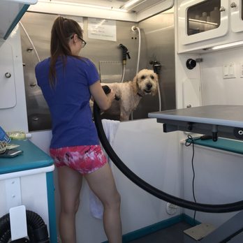 Reese's Rainbow Mobile Pet Salon - Pet Groomers Near Me Reese's Rainbow Mobile Pet Salon - Pet Groomers Near Me