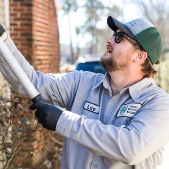 Pest Control Experts - Pest Control Experts in Birmingham, AL | Fewer Chemicals. More Natural. Since 2011. - Pest Control Near Me - Chelsea, Alabama Pest Control Experts - Pest Control Experts in Birmingham, AL | Fewer Chemicals. More Natural. Since 2011. - Pest Control Near Me - Chelsea, Alabama