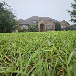 Rocket Lawns