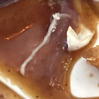 Pioneer Saloon - Parasite in pork - Japanese Near Me - Honolulu, Hawaii Pioneer Saloon - Parasite in pork - Japanese Near Me - Honolulu, Hawaii