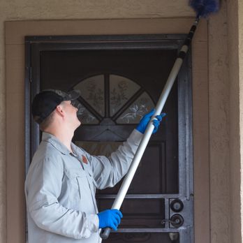 Kilo Sierra Pest Solutions - Cobweb removal service - Pest Control Near Me Kilo Sierra Pest Solutions - Cobweb removal service - Pest Control Near Me