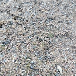 MulchSupply.com - Little soil, mostly gravel