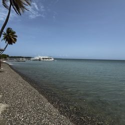 Ladi's Place - Our dining view