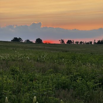 Big Meadows Campground - Sunset in the meadow - Campgrounds Near Me - Luray, Virginia Big Meadows Campground - Sunset in the meadow - Campgrounds Near Me - Luray, Virginia