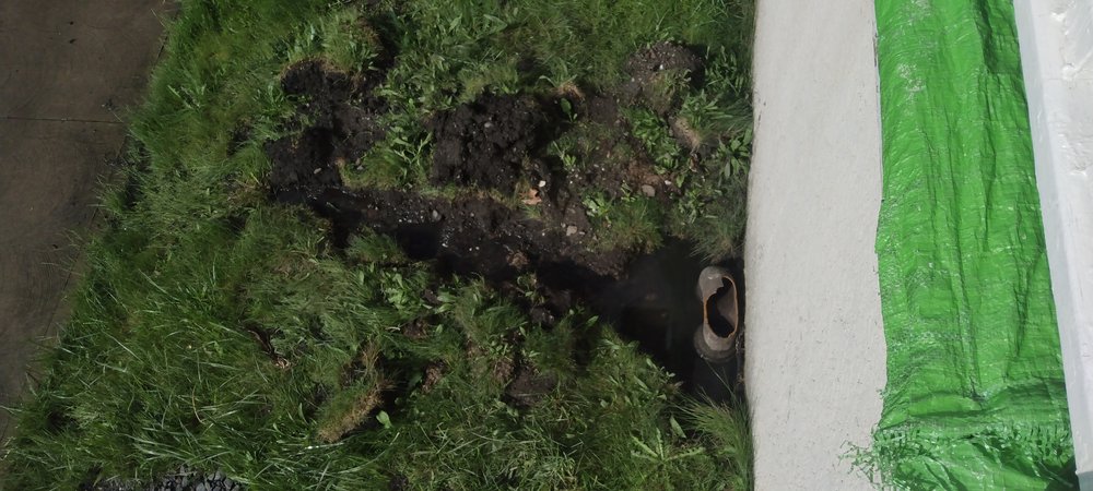 Slide of Rossi Rooter