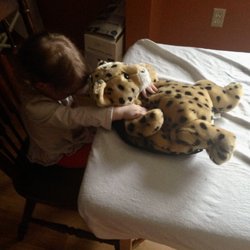 Toddler Victoria giving cheetah a treatment