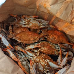 Capt Smiths Seafood Market - 2 dozen of female crabs