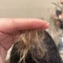 Photo of Great Cuts Salon