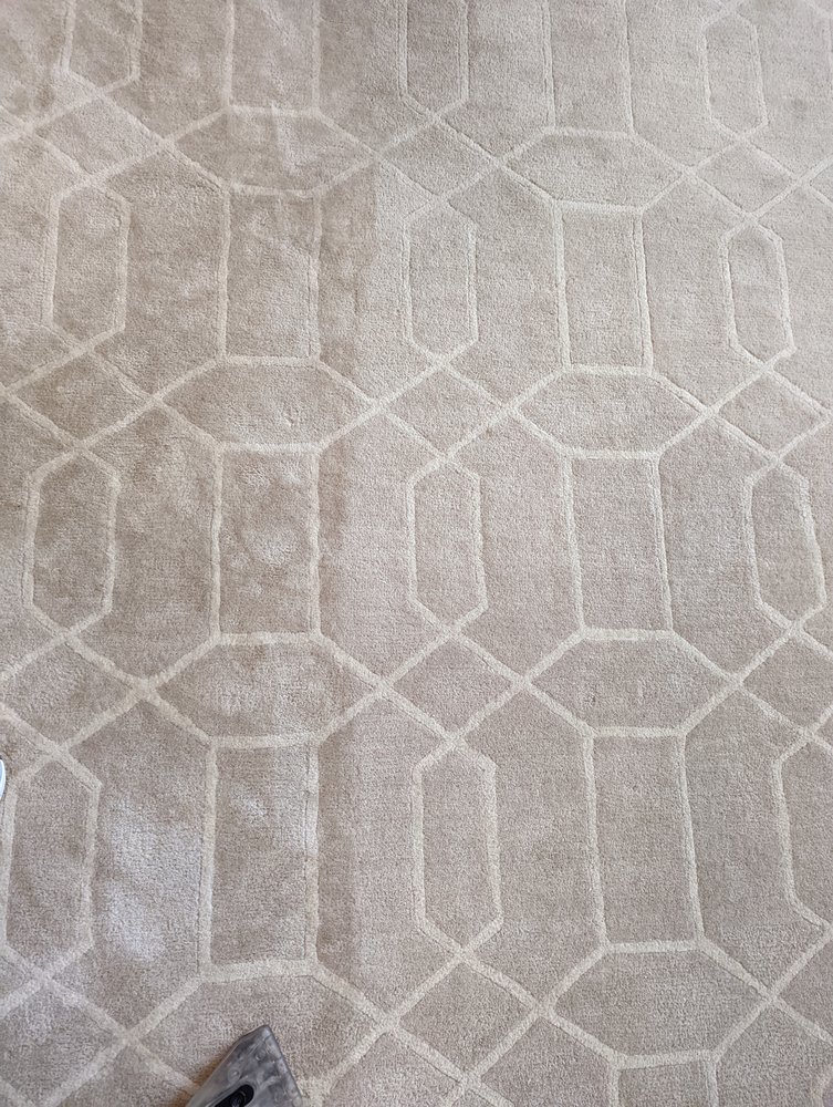 TRULY GREEN CARPET CLEANING Updated August 2024 13 Photos 20 Glen