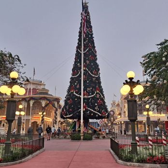 Magic Kingdom Park - Christmas tree on mainstreet at 7:30am Nov 27th - Amusement Parks Near Me - Lake Buena Vista, Florida Magic Kingdom Park - Christmas tree on mainstreet at 7:30am Nov 27th - Amusement Parks Near Me - Lake Buena Vista, Florida