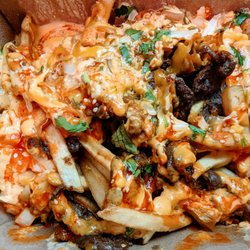 Chi'Lantro BBQ - Heights - Bulgolgi Fries