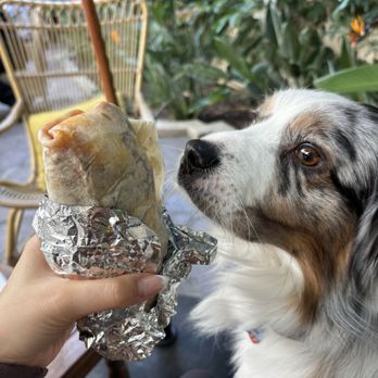 Bbad - Breakfast Burritos All Day - Breakfast & Brunch Near Me - Pasadena, California