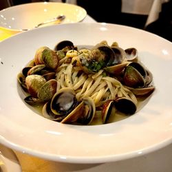 Sapori Ristorante - Linguine and clams ( white sauce)