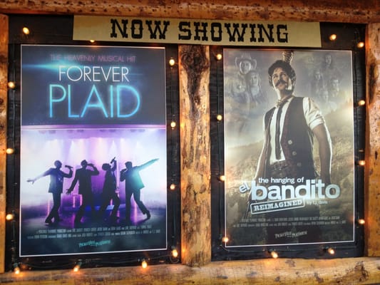 Pickleville Playhouse Theatre by null