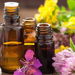 Shamananda - Specially and carefully blended essential oils are utilized during your Shamanic Transmutative Healing session with Shamananda.
