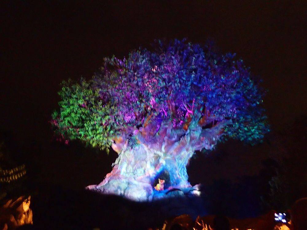 EASTERN DENTAL HOWELL Updated September 2024 10 Photos & 45