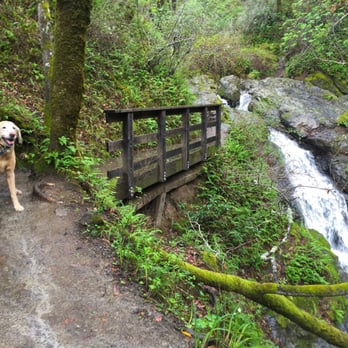 Cascade Falls - Top of waterfall - Parks Near Me
