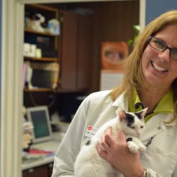 American Animal Hospital Of Neenah - Dr. Carla Edwards, DVM