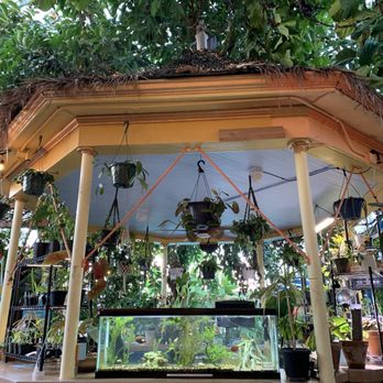 INDIAN HOT SPRINGS - Updated December 2025 - 335 Photos & 741 Reviews