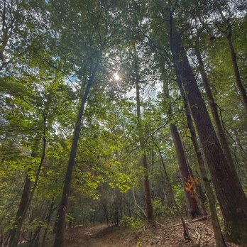 Bogue Chitto State Park - Campgrounds Near Me - Franklinton, Louisiana Bogue Chitto State Park - Campgrounds Near Me - Franklinton, Louisiana
