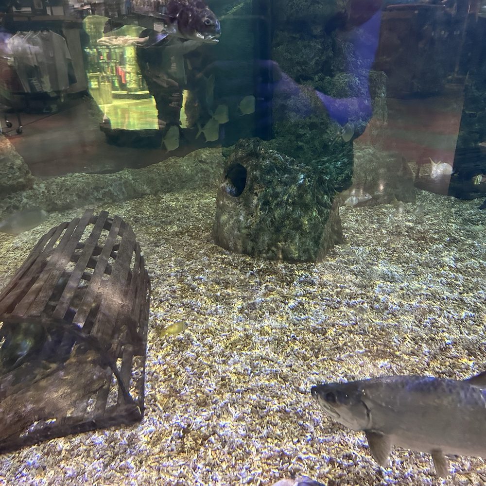 Bass Pro Shops - Hunting & Fishing Supplies Near Me - Miami, Florida