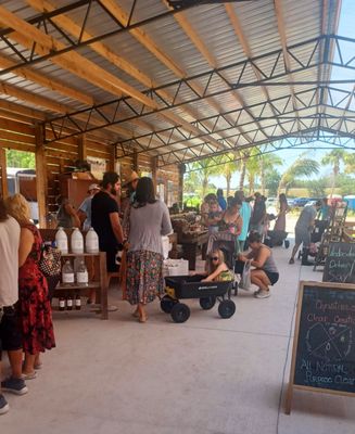 Hobe Sound Farmers Market by null