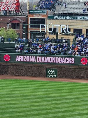 Arizona Diamondbacks Team Shop by null