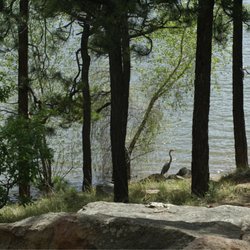 Morphy Lake State Park