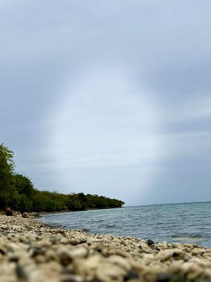 Tamarindo Beach by null