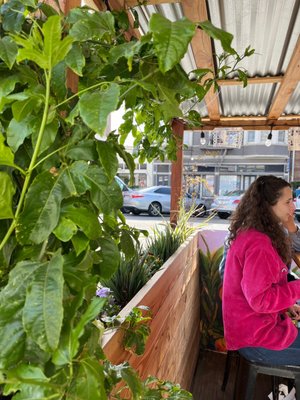 understory oakland by null