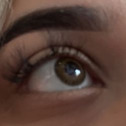 Amazing Lash Studio