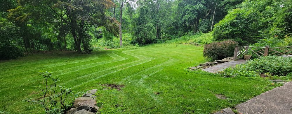 Lepage Landscape - tree service in Russell, MA