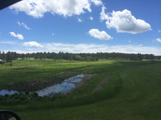ROCKY KNOLLS GOLF COURSE Updated August 2025 12181 US 16 Custer