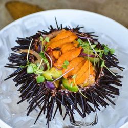 Crudo Cevicheria & Oyster Bar