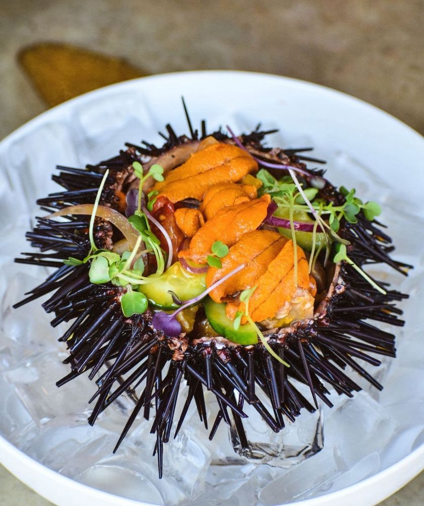 Crudo Cevicheria & Oyster Bar