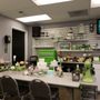 Photo of International Sugar Art Collection