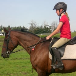 Horse Sence Training & Petting Zoo