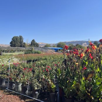 JC Growers - Nurseries & Gardening Near Me - Gilroy, California