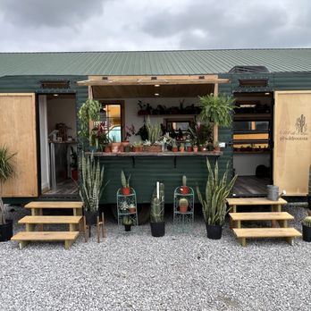 Wild Roots Boutique - Nurseries & Gardening Near Me - Columbia, Tennessee Wild Roots Boutique - Nurseries & Gardening Near Me - Columbia, Tennessee