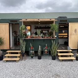 Wild Roots Boutique
