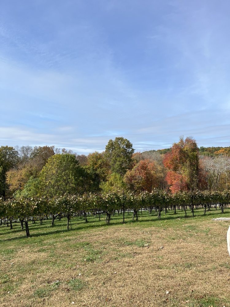 Sunset Hill Vineyard - vineyard in Lyme, CT