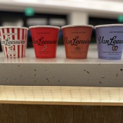 Van Leeuwen - WINTER 2023 Flavors.