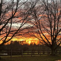 Amazing Grace Equestrian Center