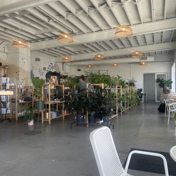 Jacks Coffee & Plants - Coffee & Tea Near Me - Knoxville, Tennessee