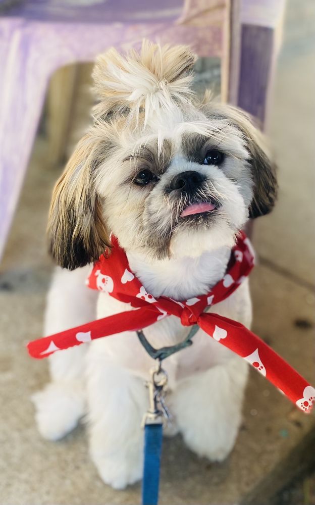 BRIDGET’S BATH BRUSH BEYOND Updated July 2024 23 Photos 208