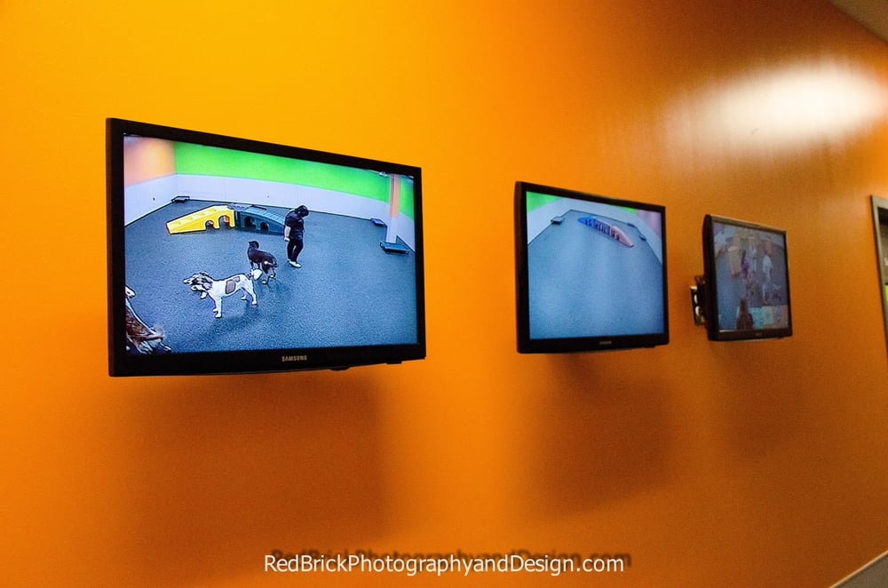 Dogtopia of Westchase Image